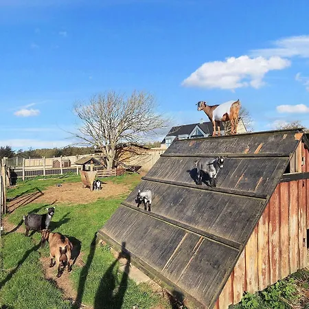 In With Patio Ferienhaus *