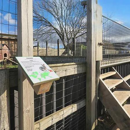 In With Patio Sønder Rubjerg