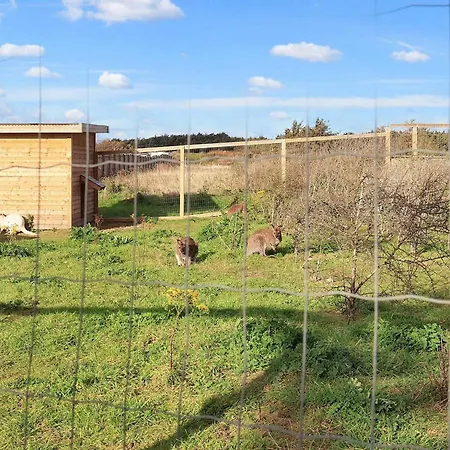 בית נופש In With Patio *