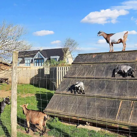 In With Patio Ferienhaus *