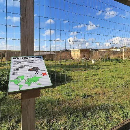 In With Patio Ferienhaus Sønder Rubjerg